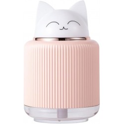 Mini humidificateur portable